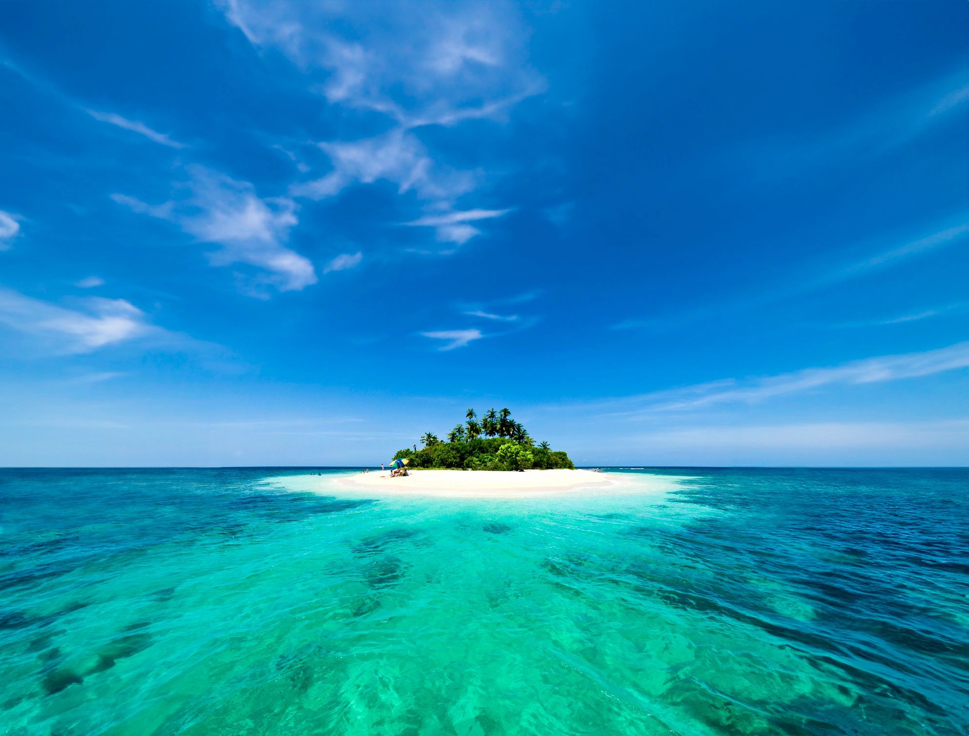 White sand beach with coconut trees