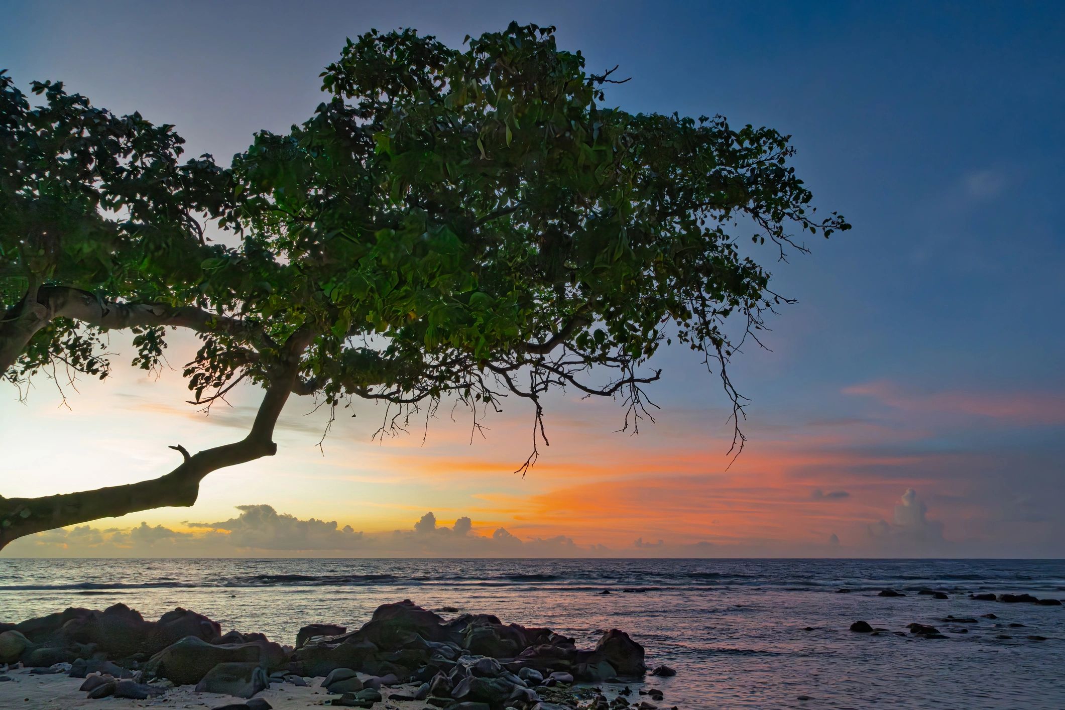 Tropical beach sunset with palm trees
